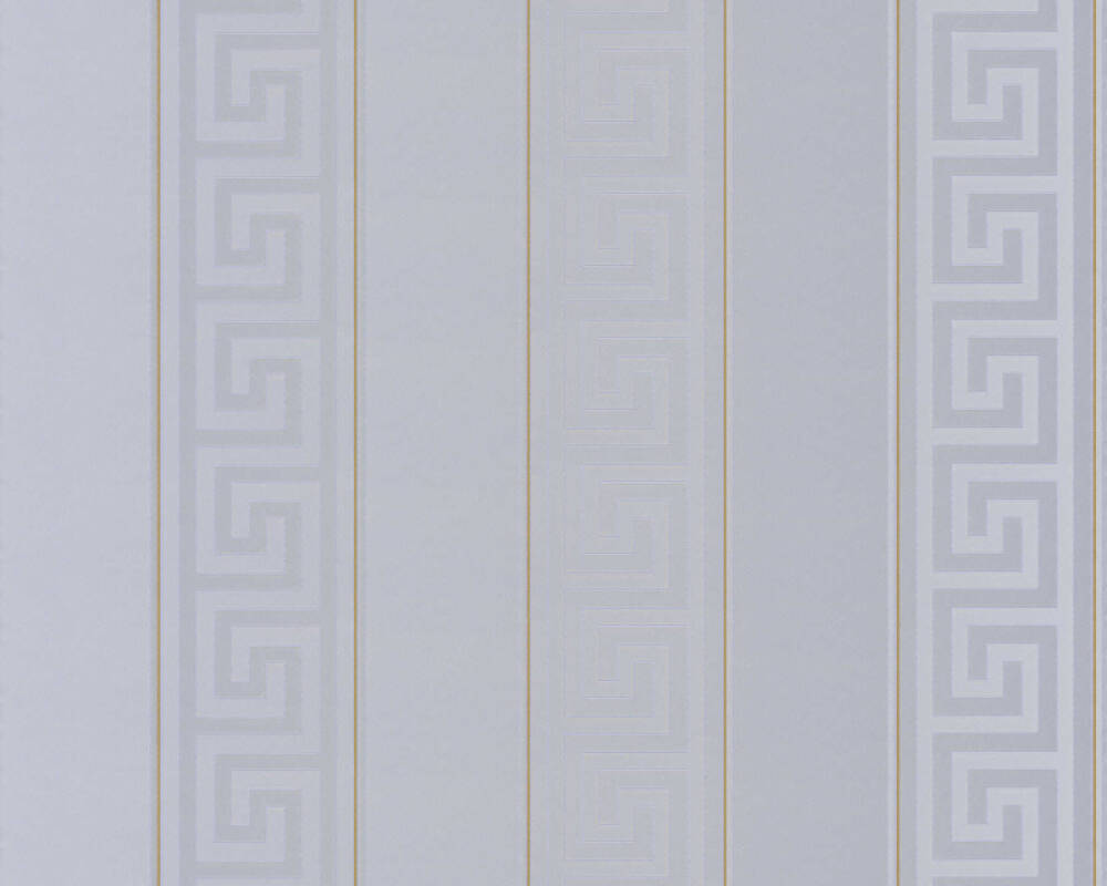 VERSACE HOME WALLPAPER «STRIPES, GOLD, METALLIC, SILVER» 935245