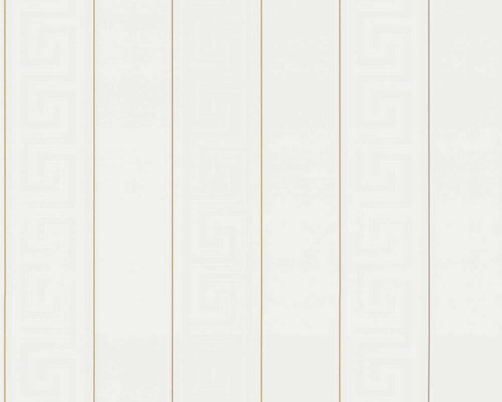 VERSACE HOME WALLPAPER «STRIPES, GOLD, METALLIC, WHITE» 935241