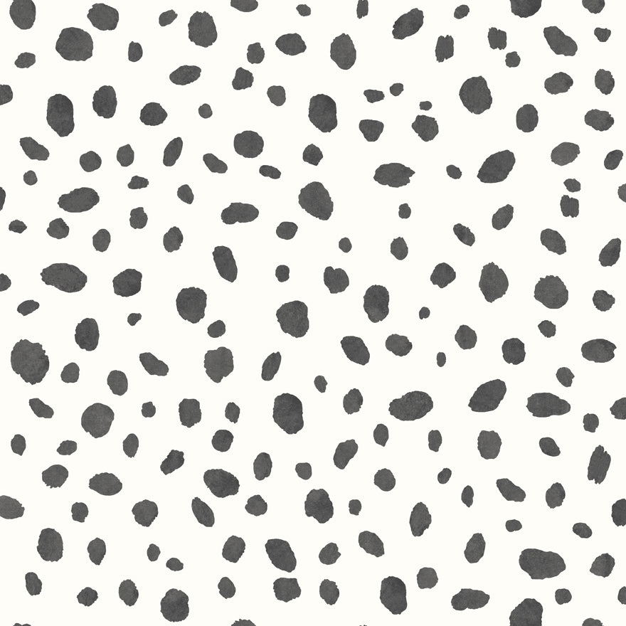 Dalmatian Black and White