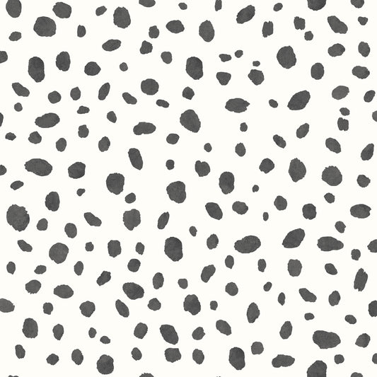 Dalmatian Black and White