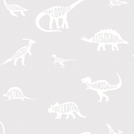 Dino Dictionary Grey