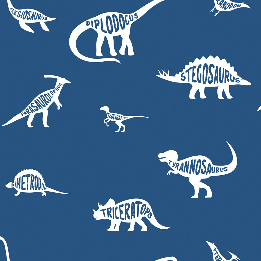 Dino Dictionary Blue